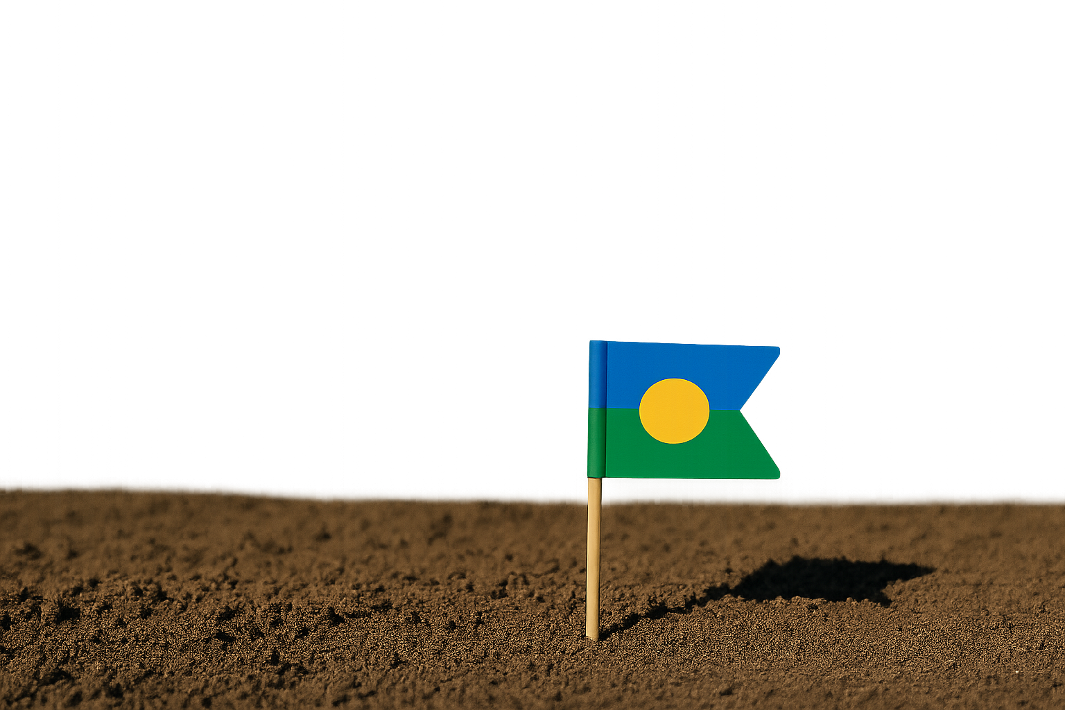 Plant Your Flag